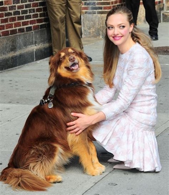 Amanda Seyfried Favorite Music Books Color Food Things Hobbies Biography