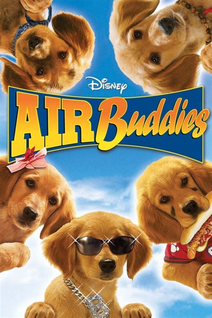 Are the Air Buddies puppies still alive? – Celebrity
