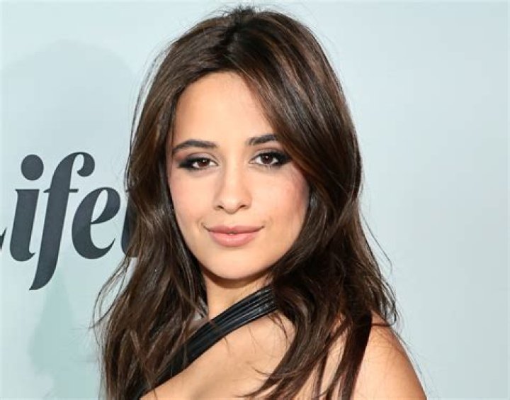 Camila Cabello in Bathing Suit Shares Beach Selfie — Celebwell
