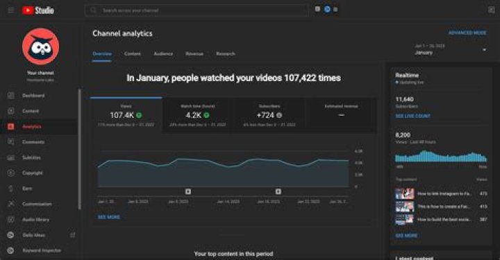 Guizzi Youtuber overview