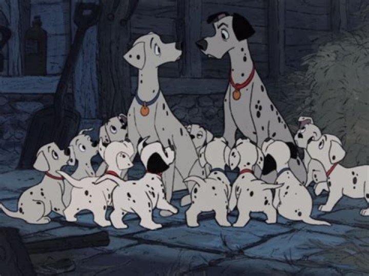 How many puppies did Perdita gave birth to? – Celebrity