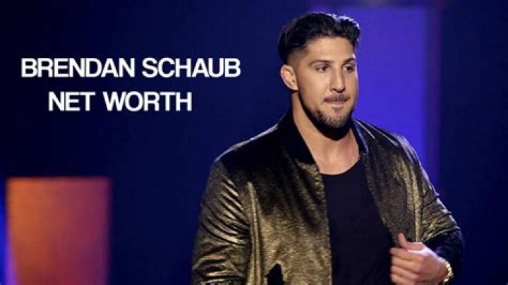 
How Much Money Does Brendan Schaub Make? Latest Income Salary
