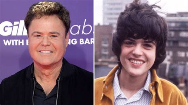 
How Much Money Does Donny Osmond Make? Latest Income Salary
