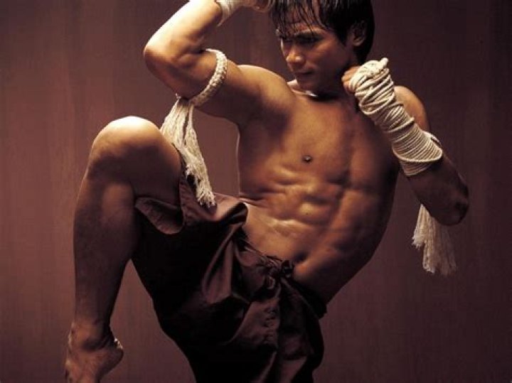 
How Much Money Does Tony Jaa Make? Latest Income Salary
