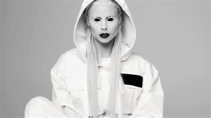 
How Much Money Does Yolandi Visser Make? Latest Income Salary
