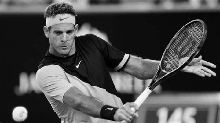 Juan Martin del Potro Net Worth & Earnings (2024)
