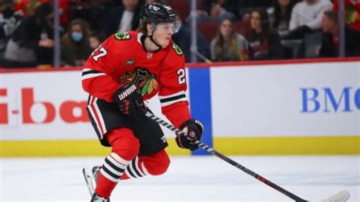 Lukas Reichel Wiki, Stats, Girlfriend, net Worth, Age & More