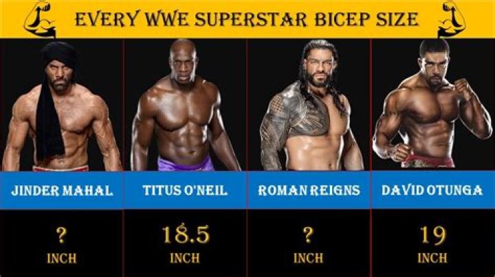 Roman Reigns Body Measurements Biceps Shoe Size Height Weight Stats
