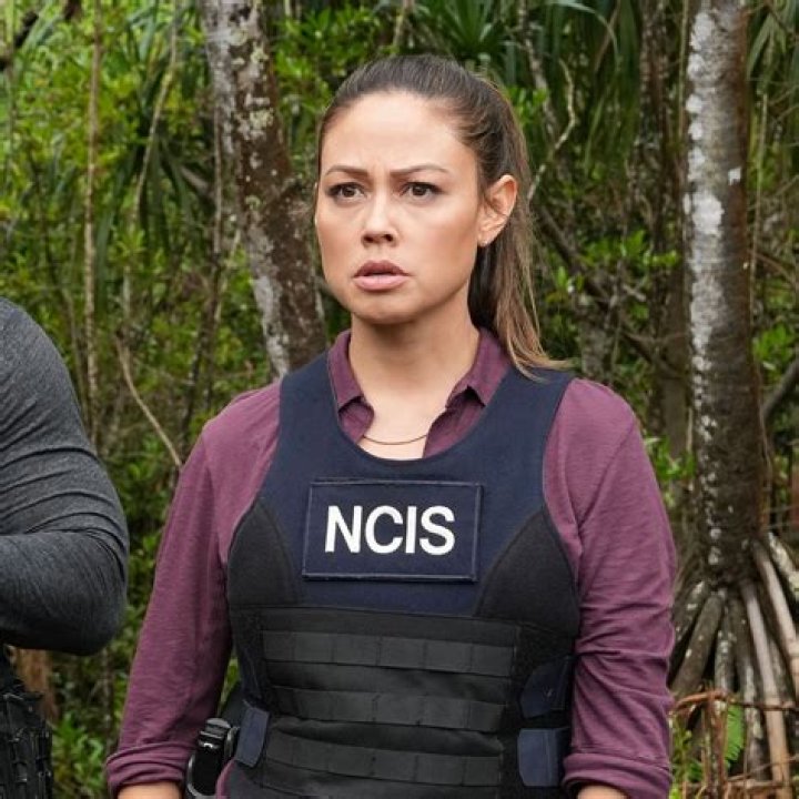 Vanessa Lachey In Workout Gear Reflects On NCIS: Hawai’i Cancellation