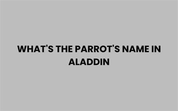 What is parrot’s name in Aladdin? – Celebrity