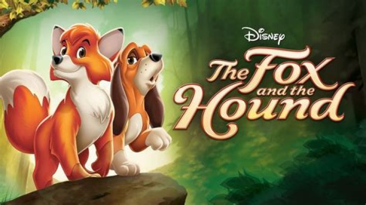 What is the ending of the Fox and the Hound? – Celebrity